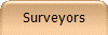 Surveyors
